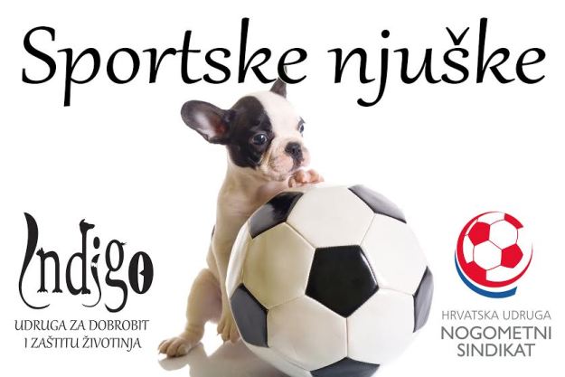 Odgovorno i aktivno vlasništvo: Saznajte sve o kampanji "Sportske njuške"