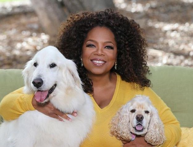 "Koji ti je ku*ac Oprah?" Slavna voditeljica jednom izjavom uspjela naljutiti pola svijeta