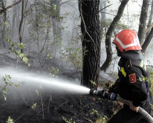 Lokaliziran požar u zaleđu Skradina
