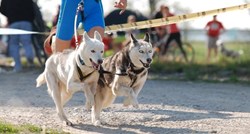 Brze šape u Zagrebu: Volite pse i sport? Predstavljamo  super vau DOGađanje