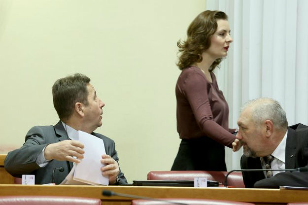 Zgodna kolegica omela koncentraciju Stipe Petrine u saboru
