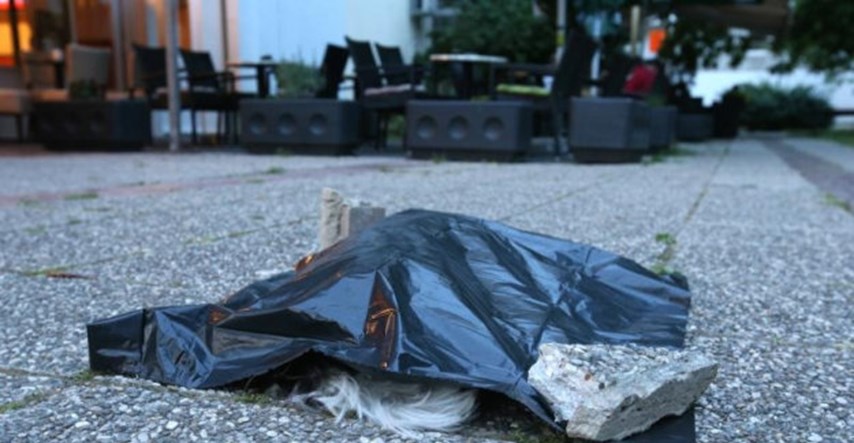 UZNEMIRUJUĆA FOTOGRAFIJA Traži se vlasnik psića koji je nađen pred neboderom zgrade u Novom Zagrebu
