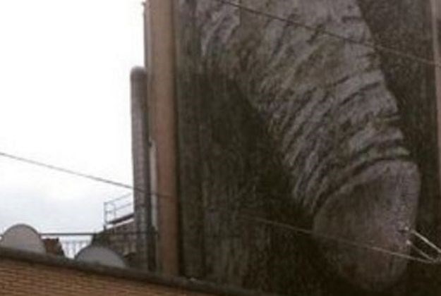 FOTO U Bruxellesu se pojavio gigantski penis, nitko ne zna kako i zašto