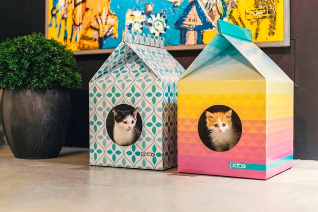 Budite u trendu: Moderne kućice za mačke neodoljivo podsjećaju na karton mlijeka
