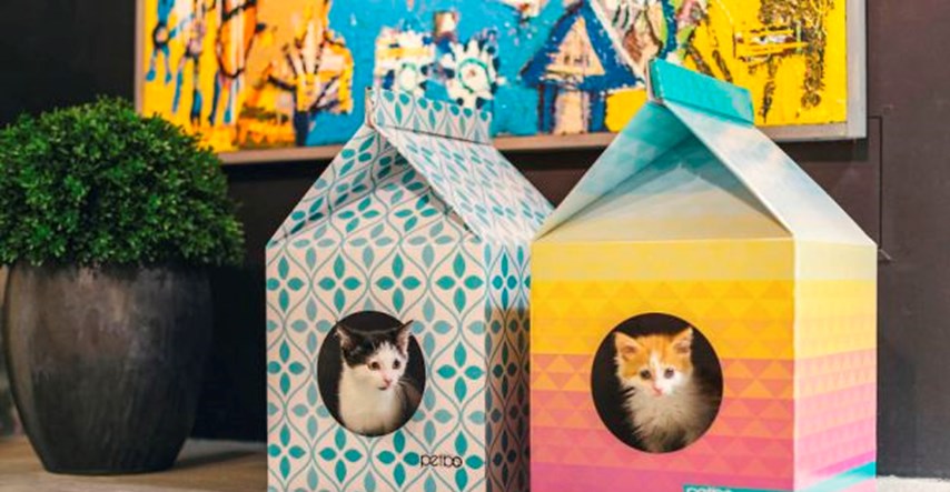 Budite u trendu: Moderne kućice za mačke neodoljivo podsjećaju na karton mlijeka