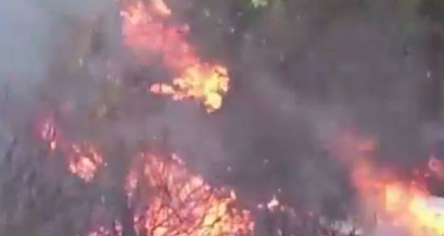 Istra gori: Planulo u Puli i na području Vodnjana, vatrogascima u pomoć stigao kanader