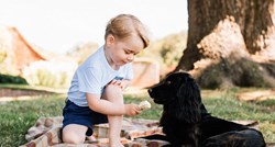 Kad smo mislili da ne može slađe: Princ George proslavio 3. rođendan neodoljivim novim fotkama