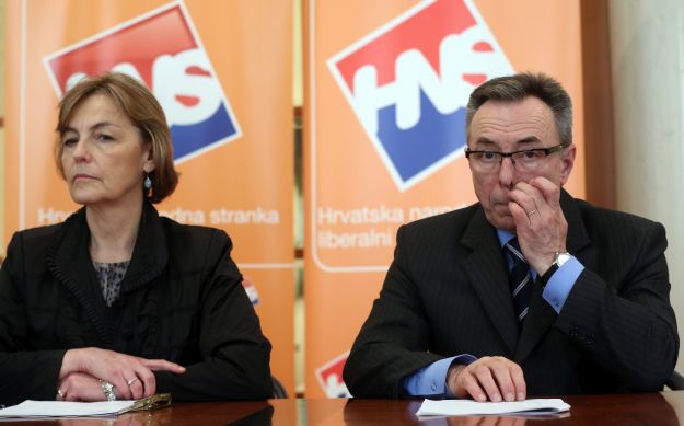 HNS bira novo stranačko vodstvo