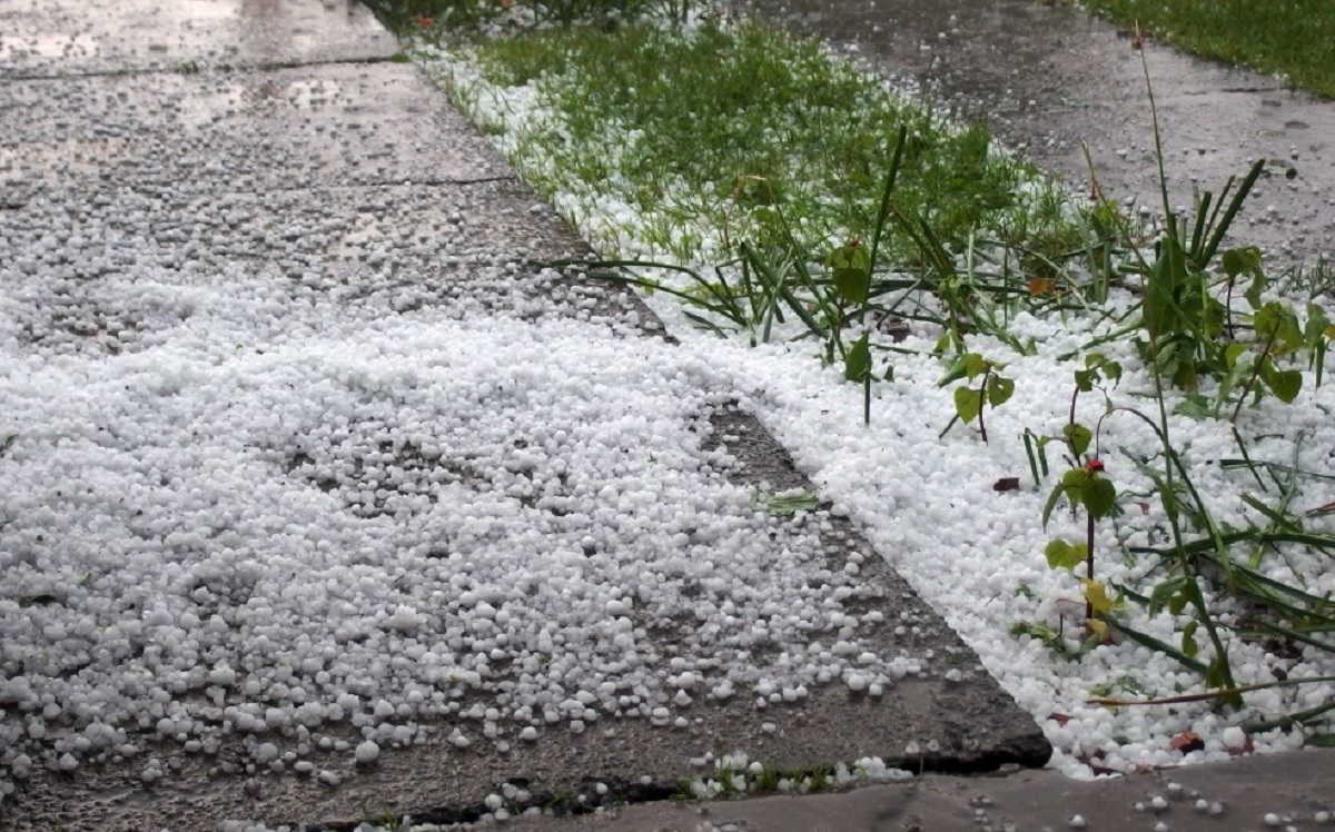 VELIKO NEVRIJEME KOD KARLOVCA Pala tuča veličine lješnjaka, šteta će biti ogromna