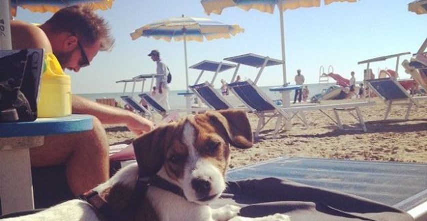 Ovdje vlada zakon pasa: Na ovu talijansku plažu ne smijete doći bez svog ljubimca