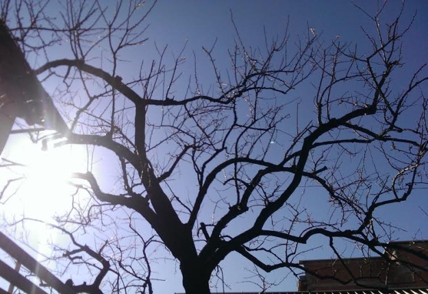 Vrijeme danas mjestimice sunčano, na Jadranu kiša i snijeg