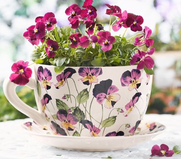 Šarmantne teglice za tvoje biljke - vintage šalice za kavu i čaj!