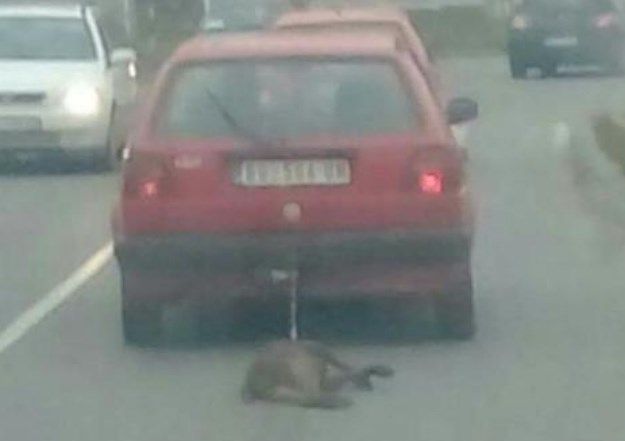 FOTO Slika psa vezanog za auto kojeg vuku cestom šokirala regiju, vlasnik tvrdi da se radi o nesreći