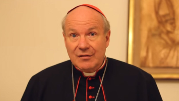 Bečki kardinal: Muslimani žele osvojiti Europu, neka nam se Bog smiluje