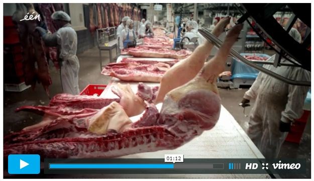 VIDEO Serijal filmova o proizvodnji hrane zgrozio javnost