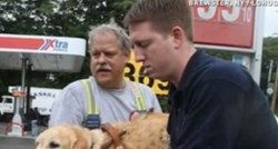 Kakva ljubav: Pas spasio život slijepe vlasnice skokom pred autobus
