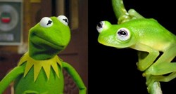 Znanstvenici otkrili novu vrstu prozirne žabe koja izgleda identično kao Kermit