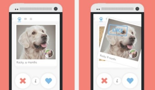 Tindog: Nova mobilna aplikacija spaja usamljene vlasnike pasa