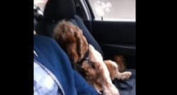 Ovaj pas ne želi se voziti u autu, ako ga njegov vlasnik ne drži za šapu