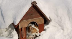 VIDEO Veterinar je proveo noć u psećoj kućici kako bi pokazao koliko je hladno!