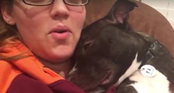 VIDEO Ovi "opasni" psi su najveća sreća i ljubav