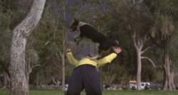 VIDEO Parkour je idealan sport za aktivne ljude i pse