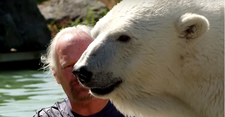 VIDEO Ova polarna medvjedica prede dok je njen čovjek mazi