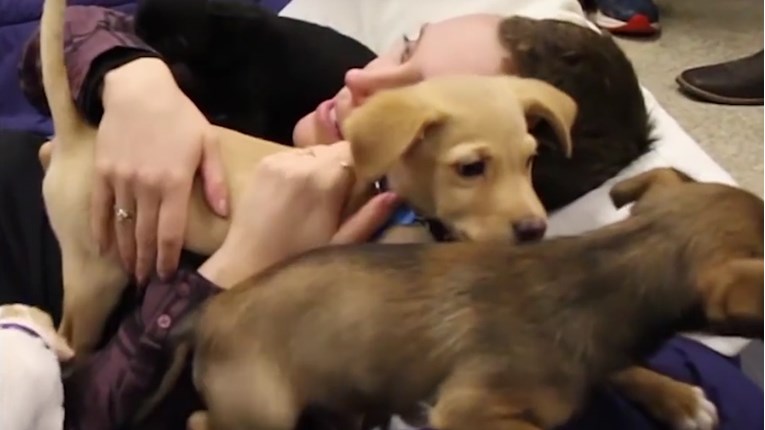 VIDEO Teško bolesnu ženu iznenadili hrpom štenaca