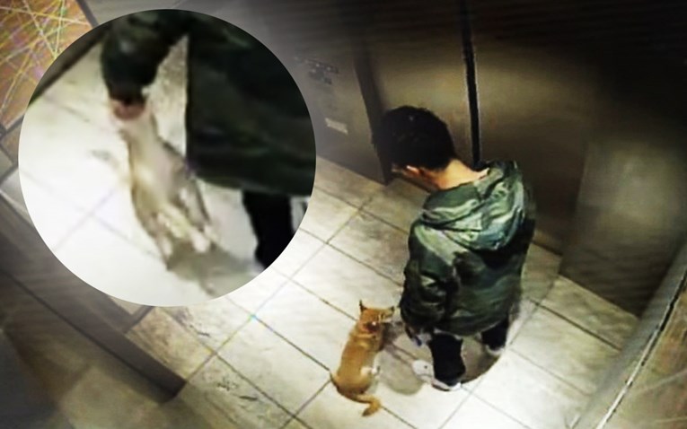 VIDEO Snimka muškarca koji u liftu šuta i gazi svog psa zgrozila je svijet