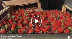 VIDEO Domaći jagodari dijele jagode: "Uvozne su prejeftine, nemoguće je da koštaju 8.99"