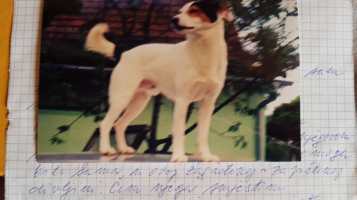 FOTO Ova baka iz Velike Gorice ne želi ići u dom dok ne pronađe smještaj za svog Flokija, pomozite joj