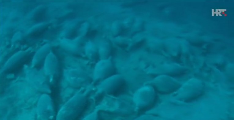 U podmorju Mljeta otkriveno veliko nalazište amfora starih 2000 godina