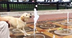 Ovakve fontane i nama trebaju za pse