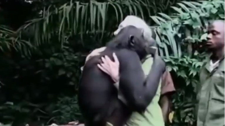 VIDEO Ove životinje daju posebne zagrljaje