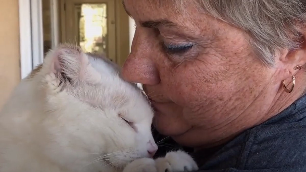 VIDEO Mačak iz skloništa ima poseban način privlačenja pažnje
