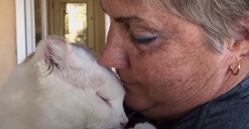 VIDEO Mačak iz skloništa ima poseban način privlačenja pažnje
