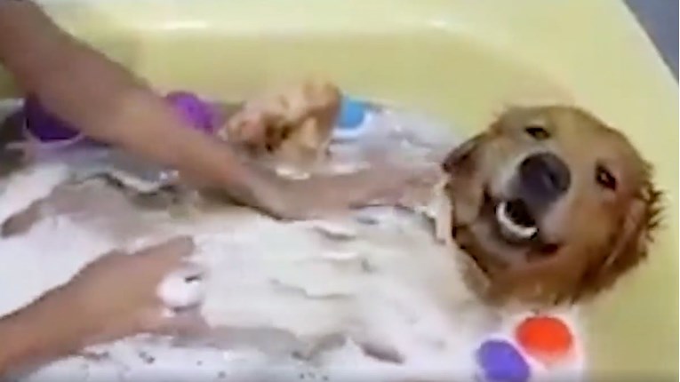 VIDEO Ove životinjice stvarno uživaju u kupanju
