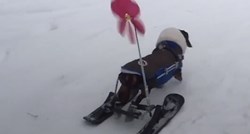 VIDEO Ovoj kujici su kolica zapinjala u snijegu pa je naučila skijati