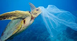 VIDEO U moru ima više plastike nego riba!