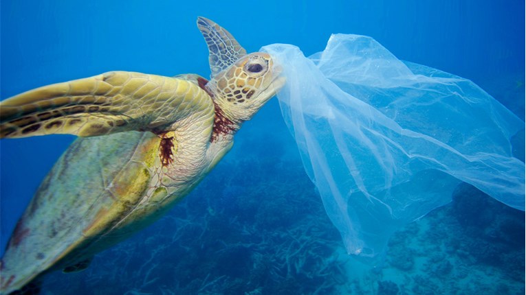 VIDEO U moru ima više plastike nego riba!
