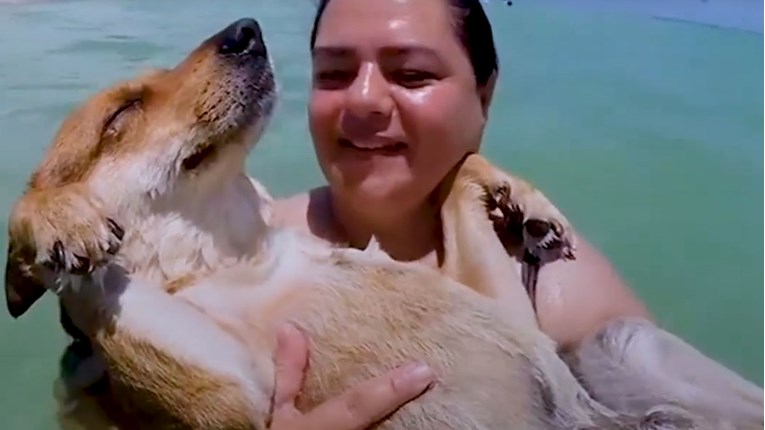 VIDEO Od napuštenog i ozlijeđenog psa u Iranu do najsretnijeg psa na svijetu