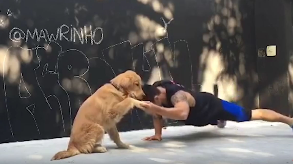VIDEO Kućni ljubimci su najbolji i vrlo korisni prijatelji