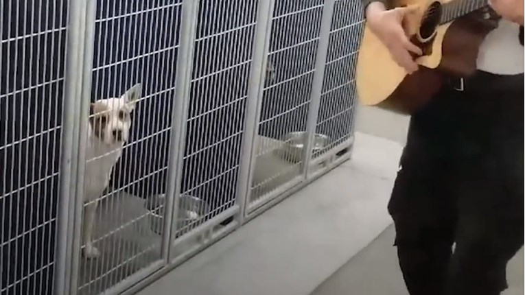 VIDEO Ovaj čovjek pjeva psima u skloništu kako se ne bi osjećali usamljeno