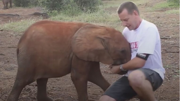 VIDEO Ovaj slonić želi se igrati dok čovjek pokušava snimiti važnu poruku