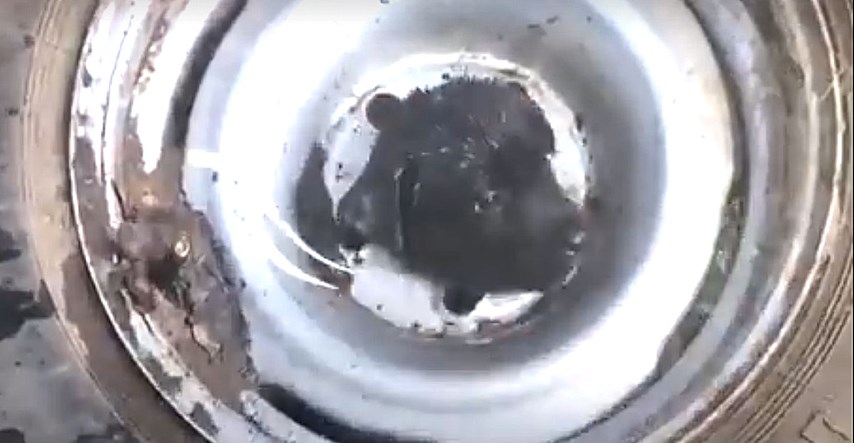 VIDEO Maleno štene je zapelo u gumi i čekalo da ga netko spasi