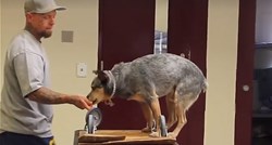 VIDEO Zatvorenik i pas iz skloništa su dobili novu priliku za sreću