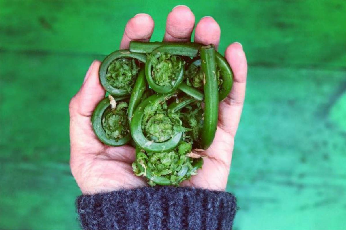 Provjerite radite li i vi ove glupe pogreške kod pripreme povrća