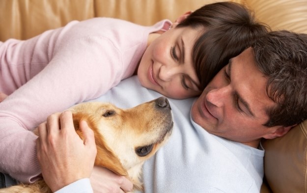 10 razloga zbog kojih su vlasnici pasa odlični partneri