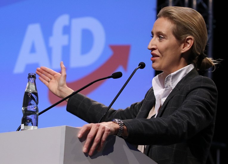 Njemačka stranka puna neonacista po anketama prvi put pretekla socijaldemokrate