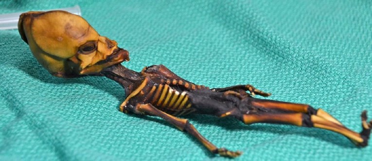 Znanstvenici napokon riješili misterij "izvanzemaljskog kostura" iz čileanske pustinje